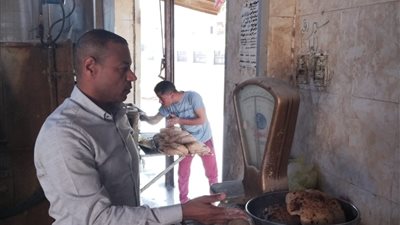  حملات تموينية مكثفة  على المحلات التجارية والمخابز لضبط المخالفين فى اسيوط