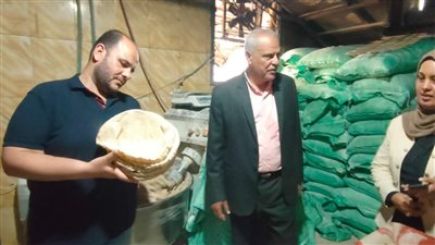 إحالة271 مخالفة تموينية للنيابة العامة بالدقهلية 