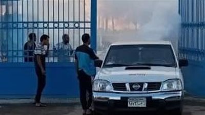 انطلاق حملات مكثفة لمجابهة انتشار الحشرات الطائرة بالشرقية 