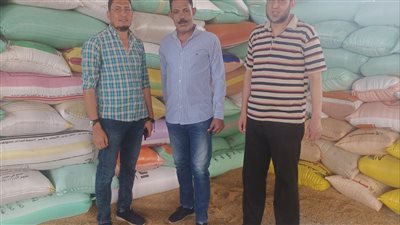 توريد 27717 طن قمح لشون وصوامع البحيرة