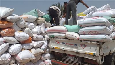 وفد مشتول السوق يتابع انتظام عملية توريد القمح من المزارعين لشون كفر ابراش