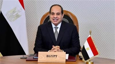 رؤساء البرلمانات العربية يشيدون بقيادة وإدارة مصر لعملية إنقاذ المساعدات لغزة