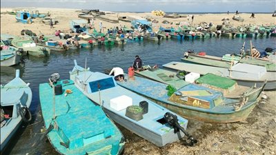 محافظ شمال سيناء يفتتح موسم الصيد في بحيرة البردويل