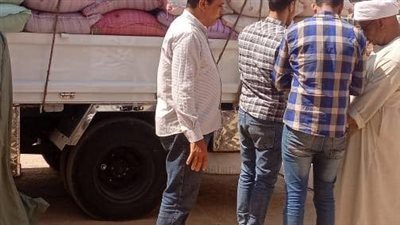 توريد 35 ألف طن قمح بشون وصوامع المنيا