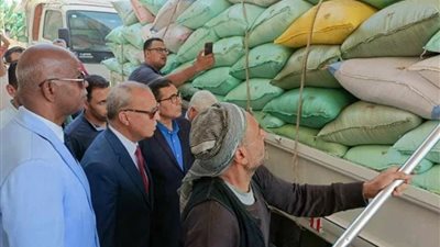  توريد 21484 طن قمح لشون وصوامع القليوبية