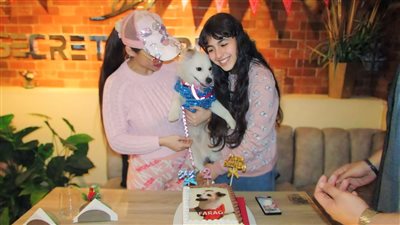 دوللي شاهين تثير الجدل بعيد ميلاد كلبها.. صور