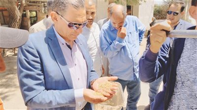 وكيل زراعة البحيرة: توريد القمح هذا العام مميز 