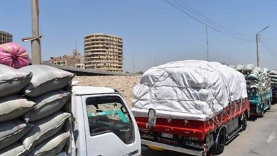 صوامع القليوبية تستقبل 25.5 ألفا طن قمح منذ بدء موسم التوريد