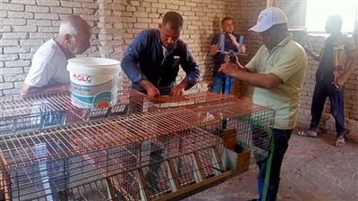 زراعة جنوب سيناء تُطلق جلسات المدارس الحقلية للإنتاج الحيواني والداجني