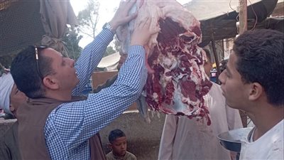 ضبط نصف طن لحومًا فاسدة بالمنيا 