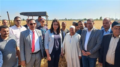 نائب محافظ البحيرة تتابع حصاد محصول القمح بقرية نديبة 