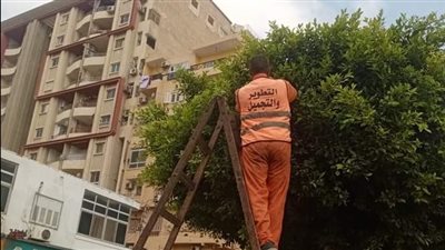 الاسماعيلية جاهزة لإستقبال إحتفالات شم النسيم 