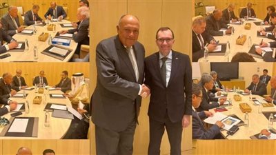 وزير الخارجية يكشف محددات الموقف المصري تجاه الوضع في غزة