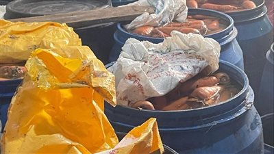 ضبط 6 طن مخلل غير صالح للاستهلاك الآدمي بدمياط 