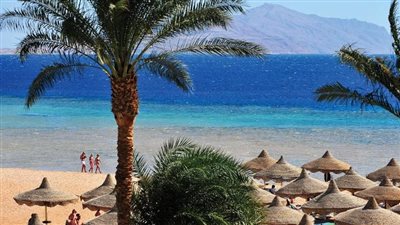 14 مليار دولار قادمة لمصر خلال أيام ورأس جميلة ستطرح لاستثمار عربي أجنبي.. فيديو