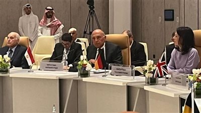 وزير الخارجية يدعم جهود تنفيذ حل الدولتين والاعتراف بالدولة الفلسطينية