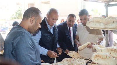 محافظ القليوبية يقود حملة تفتيشية مفاجئة على المخابز السياحية 