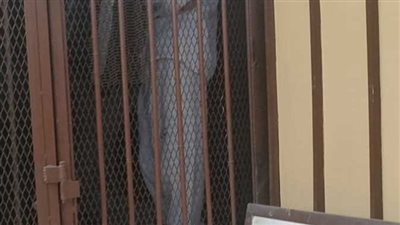 المشدد 7 سنوات لسايس أنهى حياة شخص في الجيزة