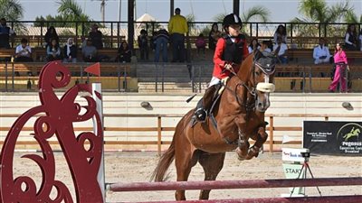 تالين عبد الفتاح تمثل سموحة في بطولة الجمهورية للفروسية 