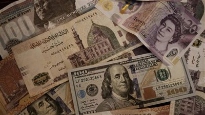  استقرار سعر الدولار الأمريكي أمام الجنيه المصري في البنوك 