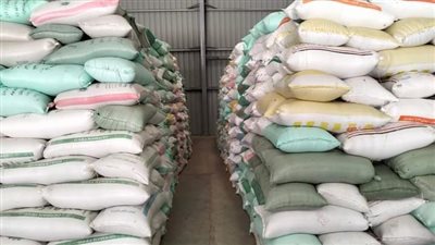 توريد أكثر من 53 ألف طن قمح لشون وصوامع البحيرة 