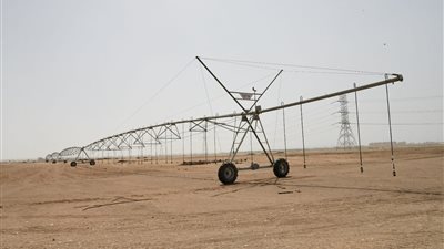  محافظة قنا تخصص لنفسها 330 فدان للإستصلاح والزراعة 