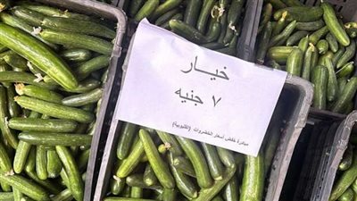 مبادرة جديدة لتخفيض أسعار الخضروات بالقليوبية 