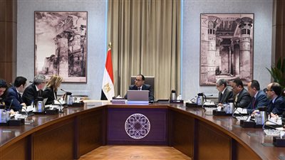 مدبولي يلتقي رئيس شركة 