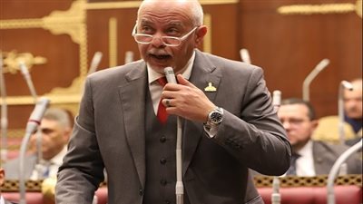 النائب حازم الجندي: تنمية سيناء حائط الصد الأول في مواجهة الطامعين 