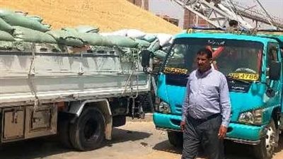 توريد 20 ألف و753 طن قمح للشون والصوامع منذ بدء الموسم بسوهاج 