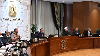 الحكومة توافق على مشروع لتصنيع الأسلاك والكابلات الكهربائية للسيارات 