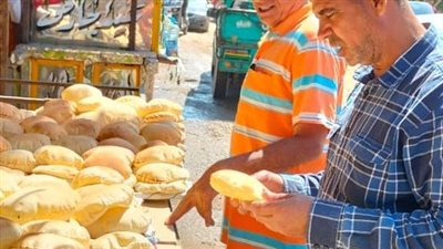 حملات تموينية على المحلات التجارية بمحافظة المنيا 
