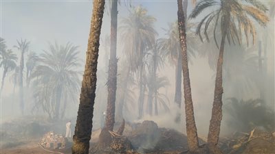 عاجل .. حريق هائل في زراعات مركز ادفو بأسوان 