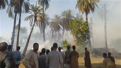 مصرع شخص وإصابة اثنين باختناقات فى حريق نخيل بأسوان