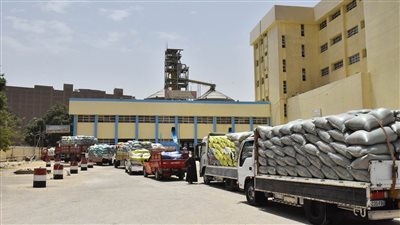 توريد 41 ألف طن للشون والصوامع من حصاد 102 ألف فدان قمح بأسيوط