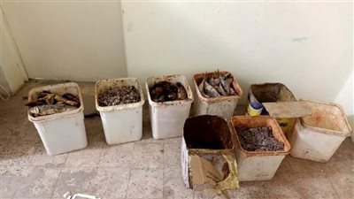 إستعدادا لأعياد الربيع.. بيطري سوهاج يكثف حملاته على محلات الفسيخ والرنجة