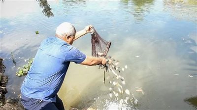 «الخير كتير والبحر عمران» أغاني صيادي الشرقية أثناء إلقاء زريعة الأسماك 