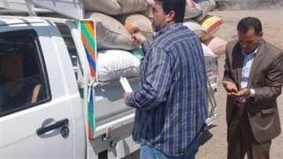 توريد 346 ألف طن قمح لصوامع وشون الشرقية