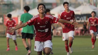 أهلي 2008 في وصافة ترتيب دوري الجمهورية