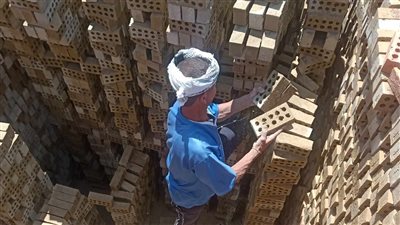 نار «الشقا» ولا جنة البطالة