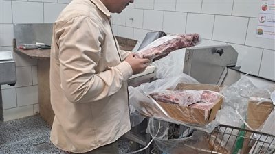 حملة تفتيشبة مكبرة على المنشآت التجارية بالمنصورة