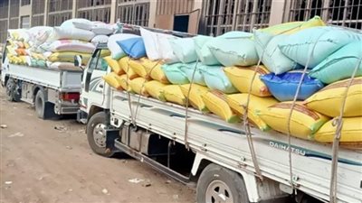 توريد 46 ألف طن قمح للصوامع والشون بالقليوبية