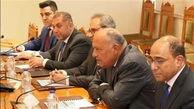 وزير الخارجية: مصر تبذل جهود جبارة لحقن دماء الفلسطينيين