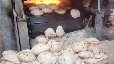 تحرير 89 مخالفة لمخابز بلدية بمدن القليوبية 