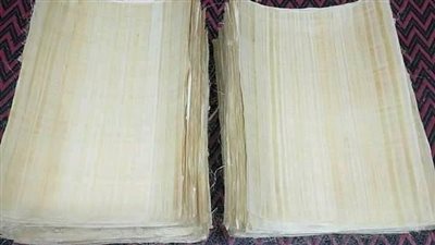 حكايات عن ورق البردي بداية من الزراعة وصولًا للتصنيع (شاهد)