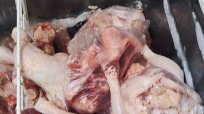 ضبط لحوم فاسدة في حملات تموينية بالمنيا 