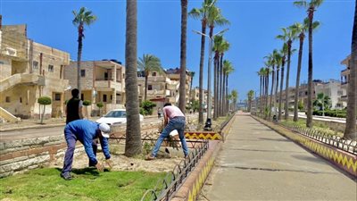 رفع درجة الاستعدادات للاحتفال بأعياد الربيع وشم النسيم بكفر الشيخ 