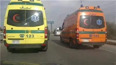 تفاصيل إصابة 8 بإنقلاب سيارة بالصحراوي بوادي النطرون 