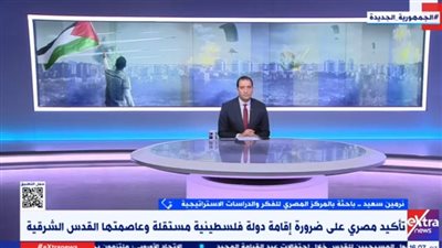 باحثة: مصر تبذل قصارى جهدها لإيصال المساعدات لقطاع غزة