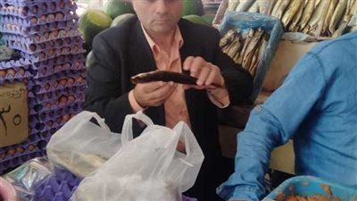 ضبط 155 كيلو فسيخ و35 كيلو ملوحة فاسدة بأسواق الإسكندرية 